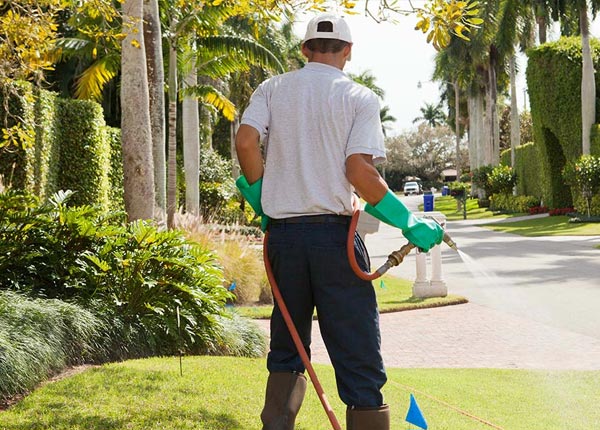 About Mayo SC Pest Control Pros